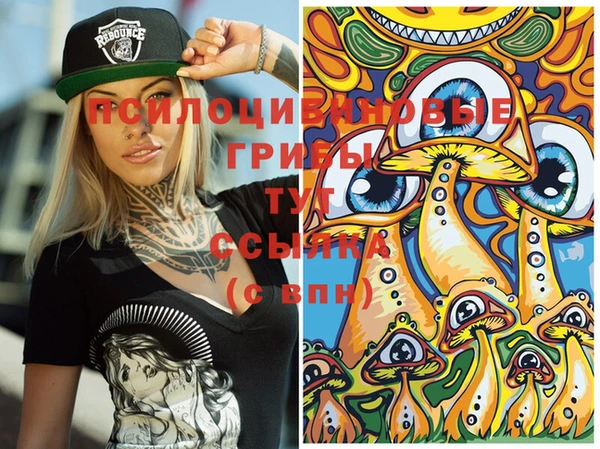 спиды Нефтекумск